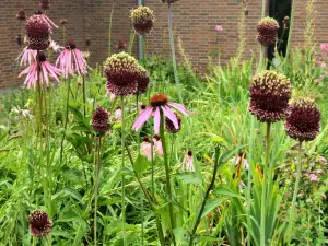 Allet 03 Tuin van het Singer Museum